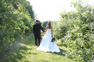Mariés marchent dans les vergers